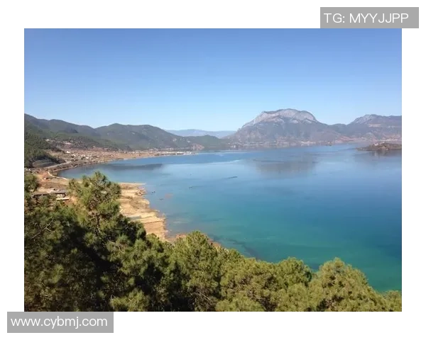 足球明星的全球旅行足迹与精彩瞬间分享