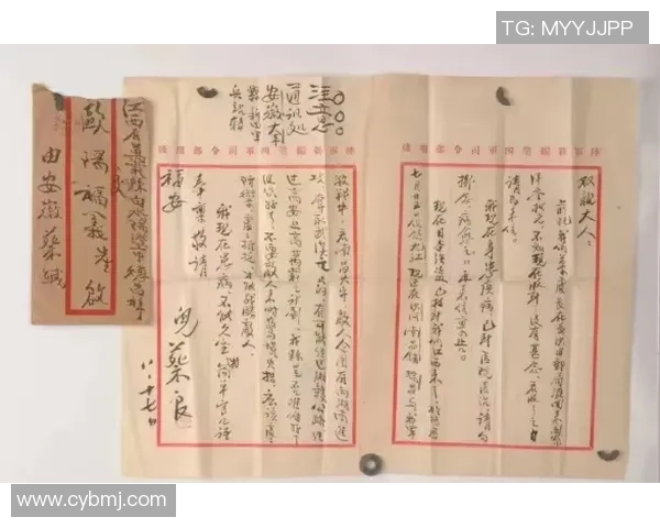 张芳的乒乓球人生：从初心到巅峰的深度对话与思考